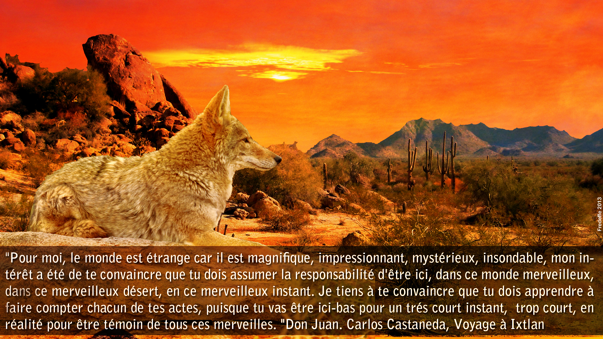 Les Enseignements Chamaniques De Don Juan Un Monde Merveilleux Medecineman Com Le Blog