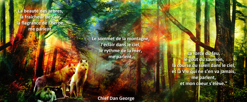 Sagesse Amérindienne et Amour de la Vie et la Terre mère