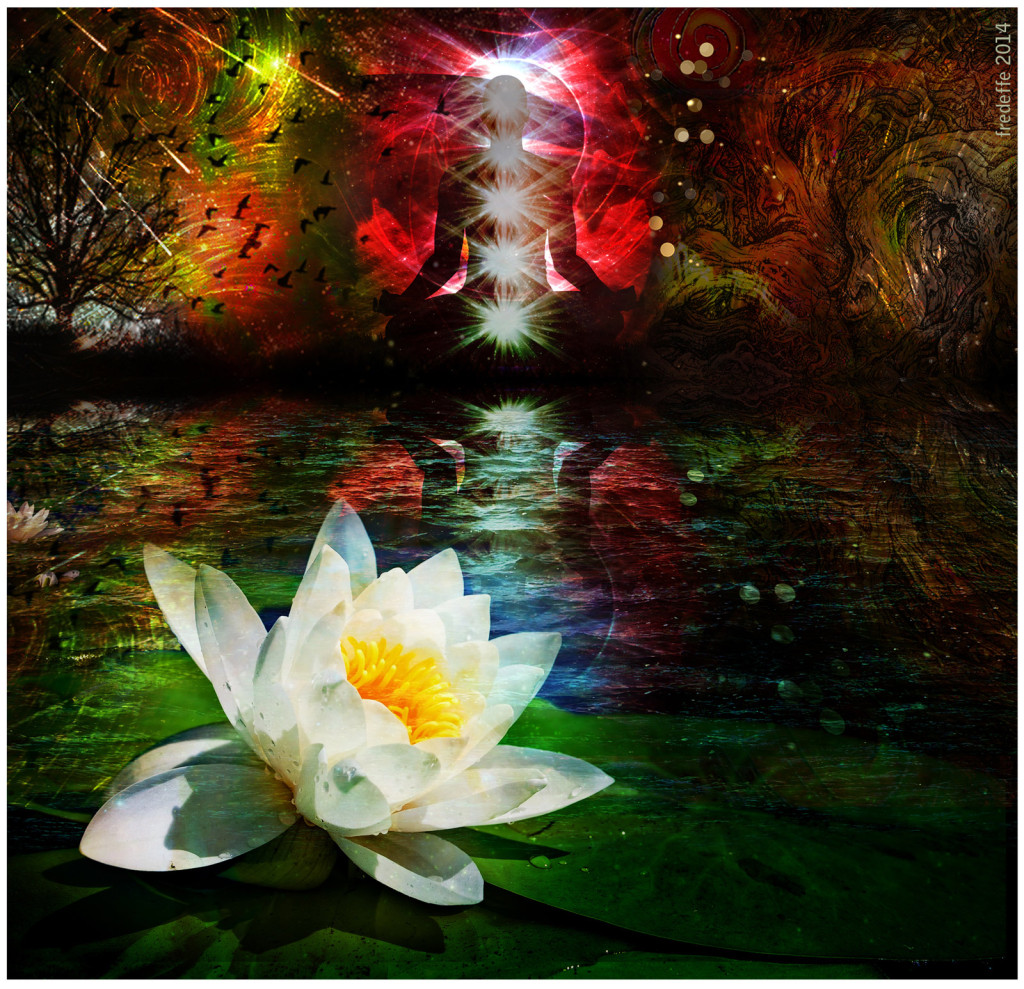 citations_chamanisme_boudhisme_spiritualite_lotus